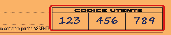 Esempio di cartolina: riquadro CODICE UTENTE con le caselle 123, 456 e 789